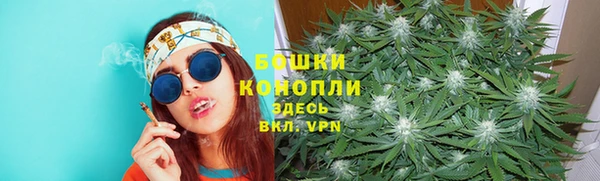 ПСИЛОЦИБИНОВЫЕ ГРИБЫ Кодинск