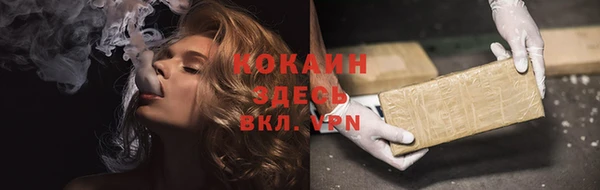 твердый Козловка