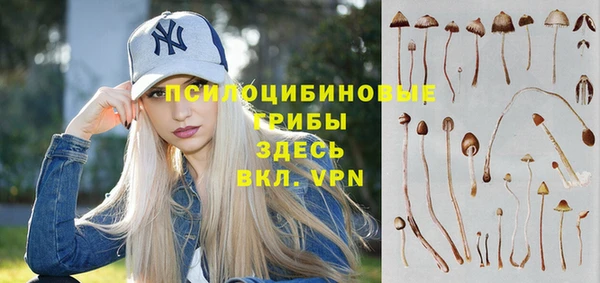 мдпв Козельск