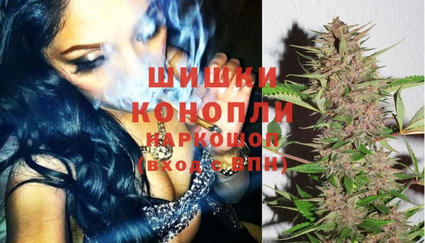 мдпв Козельск