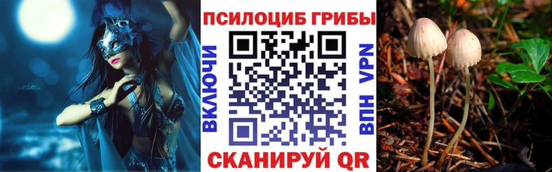 Купить  Кострома  Галлюциногенные грибы GOLDEN TEACHER 